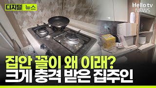 세입자가 4개월 만에 나갔는데 집 확인해보고 충격 먹은 집주인ㅣ#디지털뉴스 #헬로tv뉴스