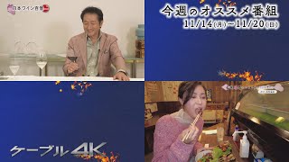 【4K】11月のオススメ番組　11/14(月) ～ 11/20(日)【2022年】