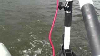 Osapian Haswing 55 lbs + Pro Marine 320