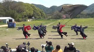 2023川棚菜の花よさこい祭り　ゐちぺぃじ