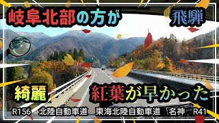 【17スーパーグレート】豪雪地帯の紅葉は長野県より早かった！(緯度、標高による違い)  富山より南の飛騨地方