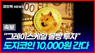 [도지코인+시바이누] 지금은 사이클 저점구간! 10,000원까지 간다! 기관들이 다샀고 그레이스케일 몰빵 투자!