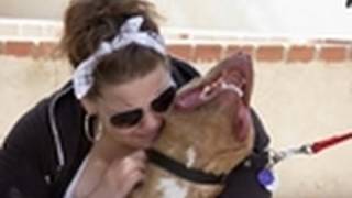 Pit Bull and Owner Reunited | Pit Bulls \u0026 Parolees