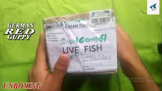 German Red Guppy Unboxing | Taj Guppy Farm | Farm Updation Video | UN02