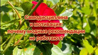 Самодисциплина и мотивация: почему модные рекомендации не работают?