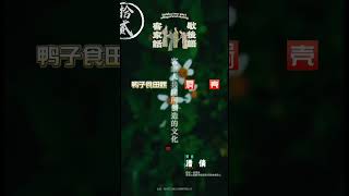 客家話 歇後語 012   旁白：潘倩