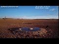 namibiacam lappet faced vulture visiting