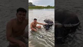 Chú Trường Đố Các Bạn Nhỏ Biết Con Này Là Con Gì #funny