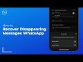 How To Recover Disappearing Messages on WhatsApp Including Photos & Videos