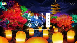 チームラボ 東寺 光の祭 - TOKIO インカラミ / teamLab: Digitized World Heritage Site of Toji - TOKIO INKARAMI