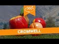 🥽 Things to Do in Cromwell in 360 - New Zealand VR