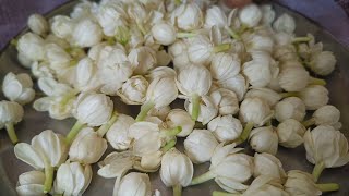 Jasmine drink 🍻🍷 మల్లెపూలు జ్యూస్ తాగండి మన ఒంట్లో వేడిని తగ్గిస్తుంది అలాగే స్కిన్ గ్లో పెంచుతుంది