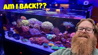 Epic Saltwater Aquarium with HUGE Colorful CORALS