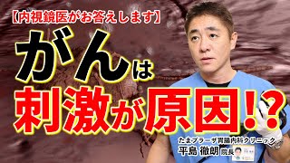 胃がんや食道がんは刺激が原因でできる？　教えて平島先生　胃腸のプロが語るお腹の話