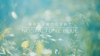 【NEKO_LOG】春の光と風に包まれて　「NOSTALTONE BLUE」フィルター