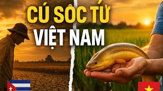 The secret of the Vietnamese 