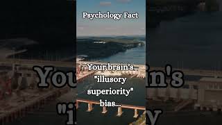 Your brain's  illusory superiority  bias