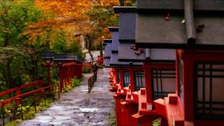 京のにわか雨  小柳ルミ子