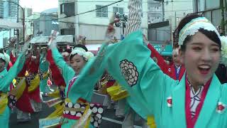 ほにや　 2019年8月10日　高知よさこい　＠菜園場競演場