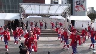 帯屋町筋・その１　～2014おきゃく・よさこい春の舞(高知市中央公園)