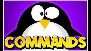 Important Linux Command Line Tools - 2023 COMPTIA A+ Exam (220-1102 \u0026 220-1101)