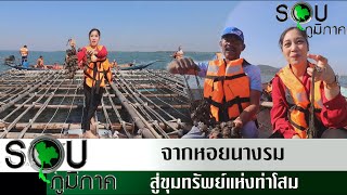 รายการรอบภูมิภาค ตอนจากหอยนางรมสู่ขุมทรัพย์แห่งท่าโสม