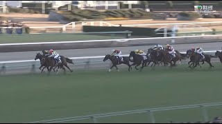 日本有馬紀念賽 Arima Kinen 一級賽 G1 2023-12-24 2500m 勝局在望 Do Deuce 中山競馬場 Nakayama Racecourse