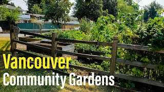 Exploring Community Gardens in Vancouver