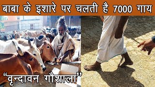 वृन्दावन धाम की सबसे बड़ी गौशाला | श्रीपाद बाबा गौशाला | Facts - Biggest cowshed in Vrindavan dham