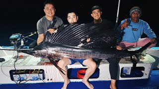 PANIK❗️❗️ DETIK-DETIK MENEGANGKAN PENYELAMATAN IKAN LAYARAN BESAR.