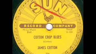 James Cotton - Cotton Crop Blues (1954) (Pat Hare Guitar)