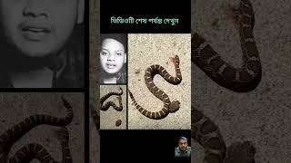 সাপ  নিয়ে সর্তকতা চলছে বাংলাদেশে #সাপ#snake #রাসেলভাইপার #bangladeh  #india #kolkata @bdrescueteam