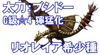 【MHXX実況#85】太刀・ブシドー：G級☆4 獰猛化リオレイア希少種【モンハンダブルクロス】