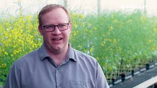 Brevant - Clubroot Q&A Video | Corteva Agriscience Canada