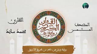 المصحف المثمن : الثمن 1 (إِلَيْهِ يُرَدُّ عِلْمُ اُ۬لسَّاعَةِۖ) من الحزب 49 رواية ورش عن نافع