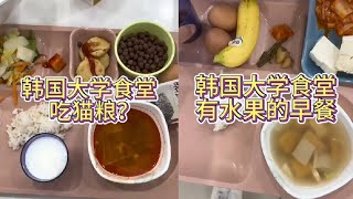 查查几种泡菜？这是一顿有水果的早餐#韩国大学食堂 #留学食堂vlog #韩国留学 #韩国泡菜 #泡菜公主本主