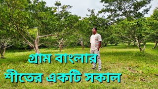 গ্রাম বাংলার সুন্দর একটা শীতের সকাল । শীতকালীন গ্রাম বাংলার প্রাকৃতিক সৌন্দর্য