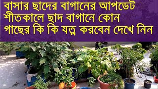 শীতকালে গাছের যত্ন | শীতকালে কোন গাছে কি যত্ন করবো | Gardening Vlog 01 | Gardening December 2021