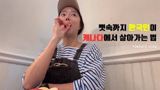 🇨🇦나 홀로 토론토 이민 와서 첫 김치 만들고 세상 행복한 40대 커피 로스터의 일상 모음 (+트러플 짜파게티)