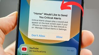 Critical alerts iPhone stuck | Home would like to send you critical alerts iPhone problem 11 Pro Max
