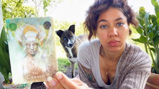 Spirit Council: THE SHIFT IS HAPPENING NOW