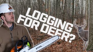 Why you should LOG YOUR WOODS- LOGGING for DEER Episode 1