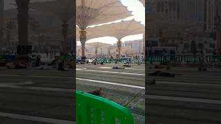 Madina Munawwara Saudi Arabia | Shams Tabrez | 2024 | Latest #madina #faizaneshamsi