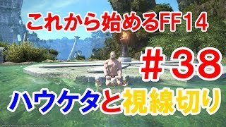 【FF14】これから始めるFF14＃38　ハウケタで視線切り