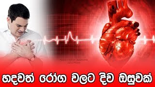 හදවත් රෝග වලට දිව ඔසුවක්  - Hadawath Roga Walata Diwa Osuwak