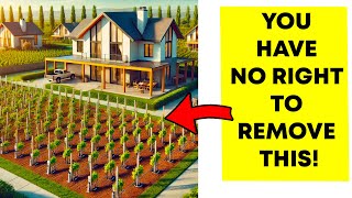 Entitled Neighbor Plants a Vineyard on My Land, Claims It’s “Community Property”!