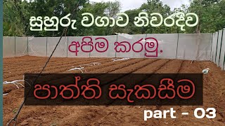 Making beds regularly|සුහුරු වගාවෙි පාත්ති සැකසීම