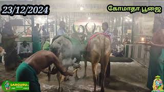 சற்குரு விஷன் 23/12/2024 திங்கட்கிழமை கோமாதா பூஜை