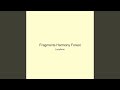 Fragments Harmony Forest