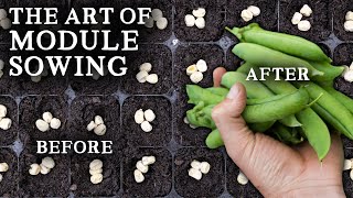 The Simple Art of Sowing Seeds in Modules